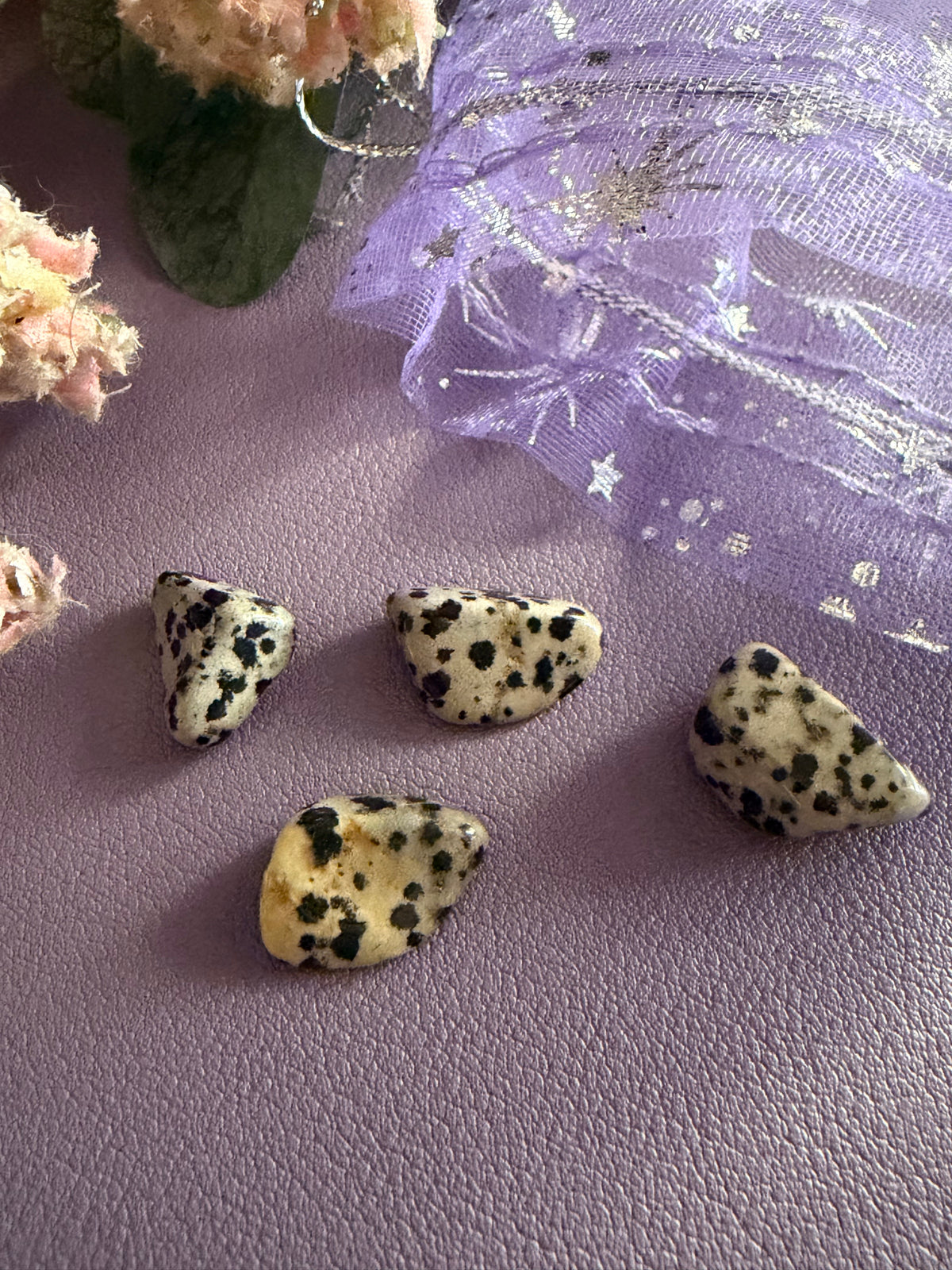 Dalmatian Jasper